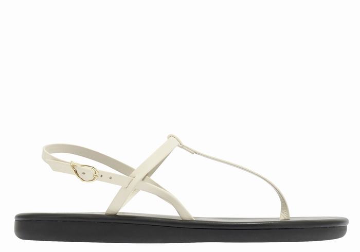 Sandales Bride Arrière Ancient Greek Sandals Lito Flip Flop   | BBG-5239121